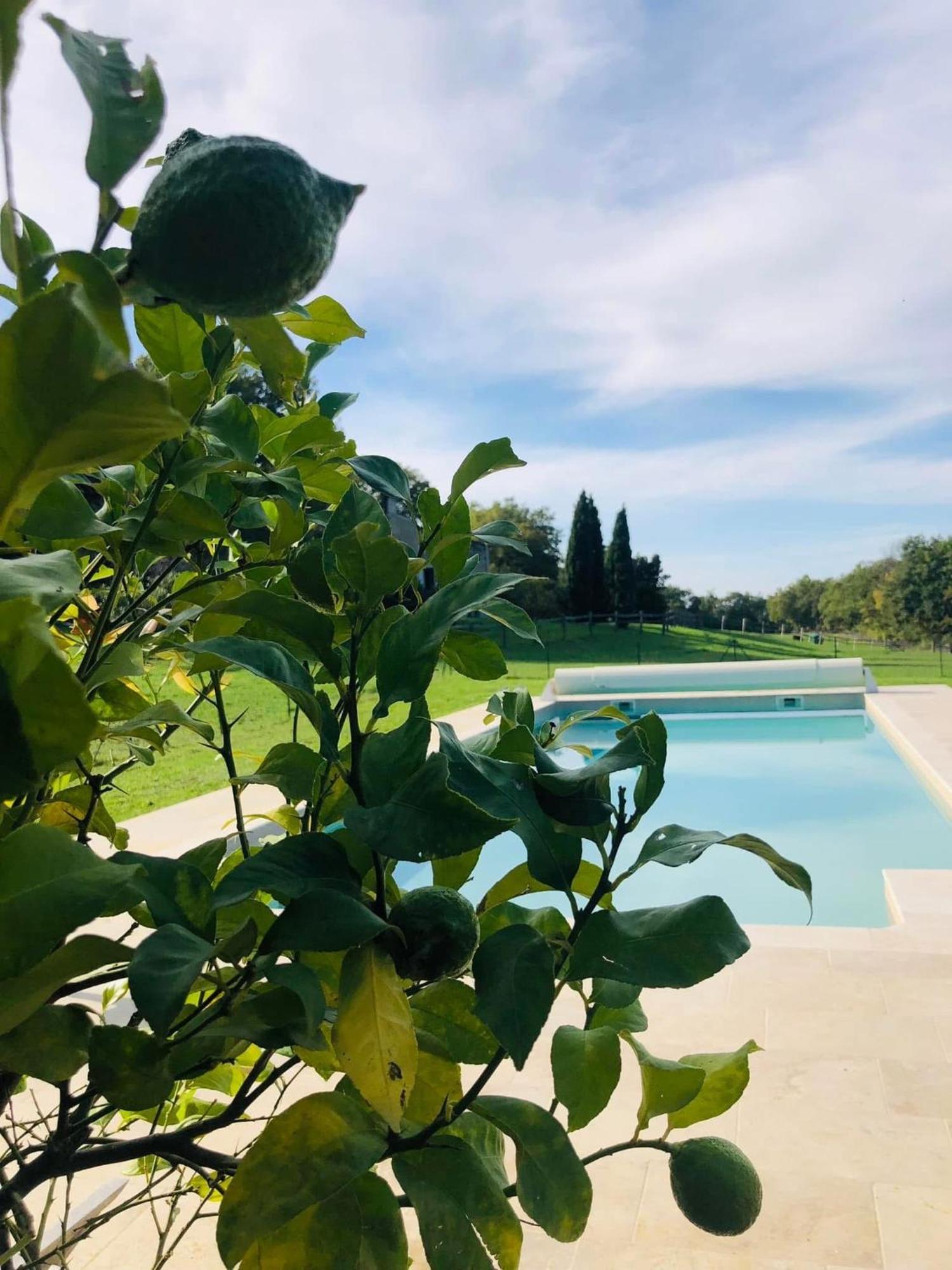 Le Buscagneau Holiday home *
