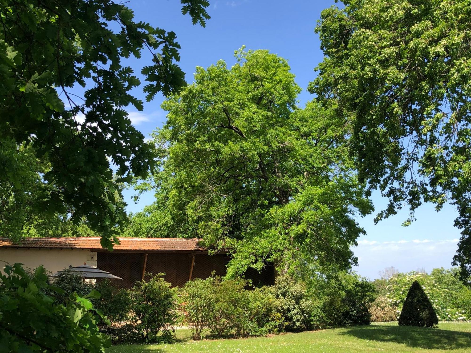 Holiday home Le Buscagneau Beraut